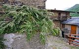 Giro delle Streghe - 087 - Realdo